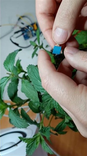DIY Magnetic Plant Conductivity Sensor