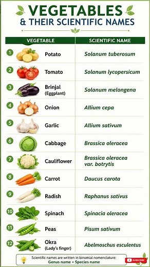 Vegetable Scientific Name #farming #foot