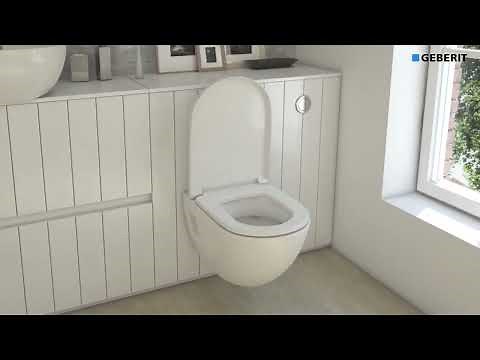 Learn How to Install Geberit Remote Flush Type 10