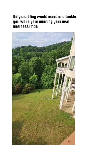 Baby Bears Playing and Foraging in the Wild