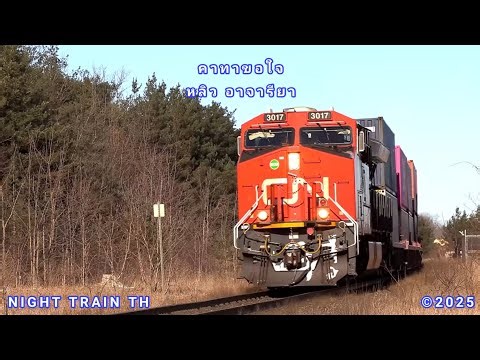NIGHT TRAIN TH - คาทาขอใจ : หลิว อาจารียา