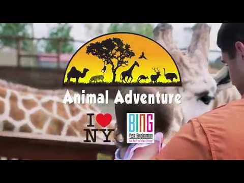 Animal Adventure Park - Harpursville, NY
