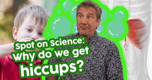 Spot on Science: Why do we get hiccups?