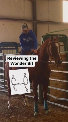 Breanna Brown | 📍Utah on Instagram: "How the Wonder Bit works and what type of horse you could consider using it on."