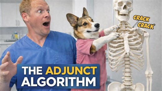Adjunct Algorithm in MSK Care: Chiropractic, Massage, and Acupuncture | Daniel Bates posted on the topic | LinkedIn