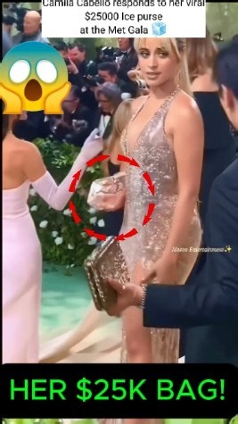 Inside Camila Cabello’s INSANE $25,000 Acqua Purse! 💰😳 #CamilaCabello #AcquaPurse #celebritystyle