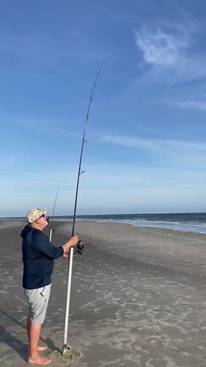 Hell of a day! 5 Sharks Tagged and Released! #sharks #sharkresearch #ocean #beach #foryoupage