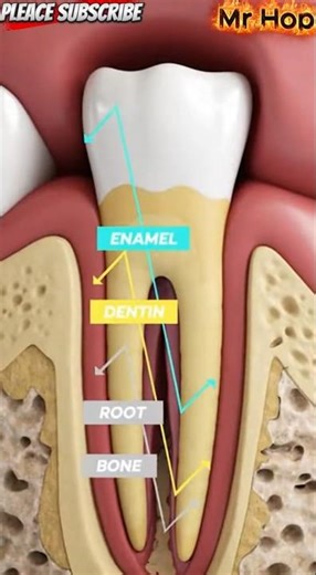 Why Your Teeth Start Falling Out as You Get Older (The Truth 😳🦷)