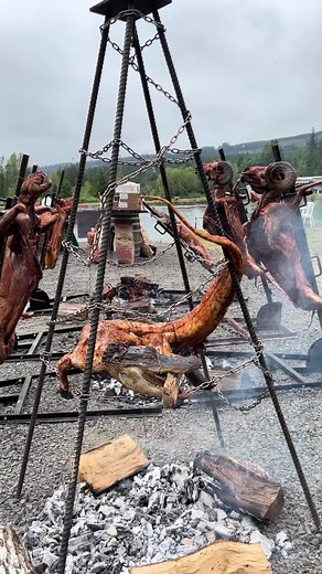 Another Epic Open Fire Cook in the books The Icebox Cookoff 2022. Thank you @TheBBQNinja @frontiercharcoal for supplying the fire #ItsGreatOutdoors #openfirecooking #foryoupage #asado #cougar #cooking #pnw #oregon #bbq