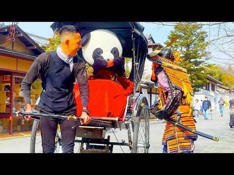 Panda vs Samurai 🐼 Kids and Adults Panic! Kyoto Prank 🇯🇵 #143