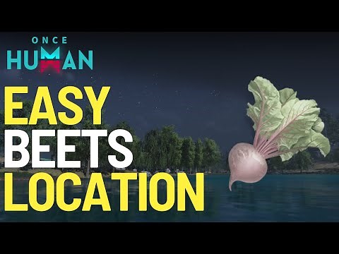 Easy Beets Location in Once Human