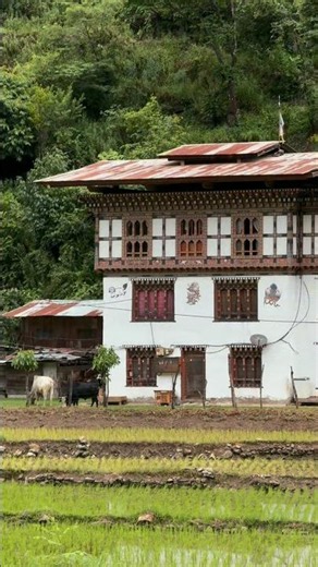 Tikizampa in Wangdue Phodrang,