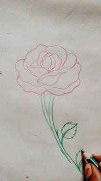 how to drow rose #drowing #shortsvideo