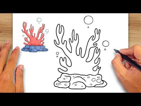 How to draw Coral - Easy Drawing for Kids & Beginners