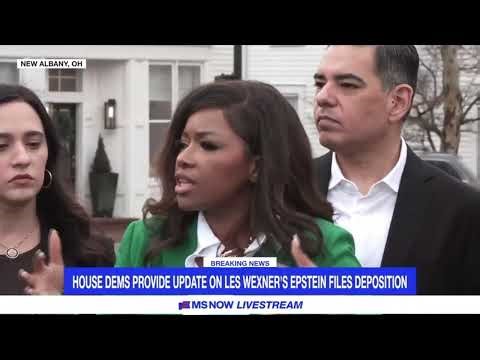 “Follow the Money.” Jasmine Crockett Calls Out DOJ Failure in Epstein Probe