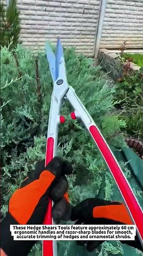 Hedge Shears Tools Create Perfect Garden Shapes with 60 cm Precision Blades