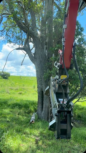 Dan on Instagram: "FAE BL2/EX Forestry mulcher for 8T to 14T Excavators -150mm shredding diameter -Bite Limiter rotor -Hydraulic door for a finer mulch -Rear rake -Optional hydraulic thumb -3000RPM rotor speed -This Mulcher comes into its own on hilly country, Dam walls, creek banks, fence line clearing etc. The BL2/EX on the Yanmar SV100 in the video is mulching an invasive camphor laurel tree, within minutes the tree is down to ground level without disturbing the ground, leaving a mulch that w