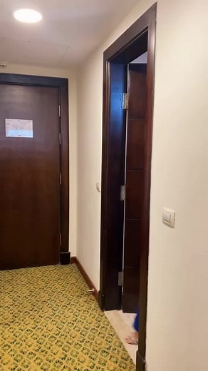 Elegant Prom Dress Showcase and Fashion Inspiration