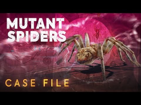 Mutant Spiders | Case File | Doctor Who: Series 11