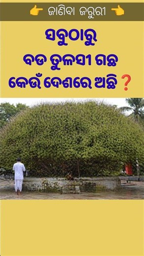 Most important GK Quiz 🔥 Odia GK Video 💥 #shorts #ytshorts #odiagk #gkvideo #gkfacts #education
