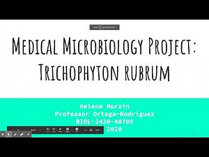 Medical Microbiology Project: Trichophyton rubrum