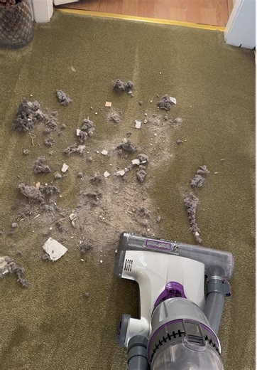 The Ultimate Vacuum Cleaner ASMR Experience