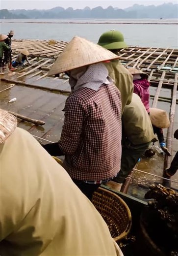 Best Ever Food Review Show S01:E04 - Shells