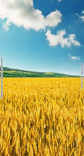 4.9K views | ClickTelevision on Reels | Facebook