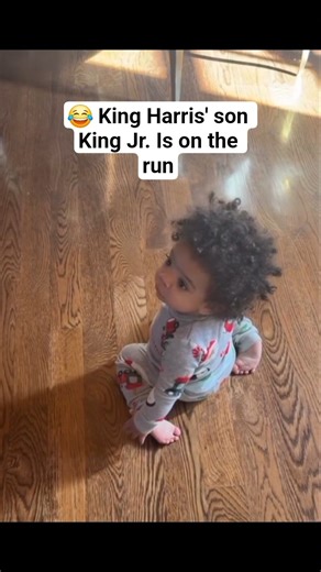 😂 King Harris' son King Jr. Is on the run