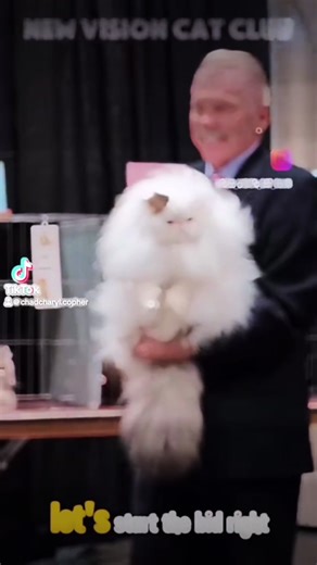 ChadCharyl Copher (@chadcharyl.copher)’s videos with Wild Thing (Re-Recorded) - Tone-Loc