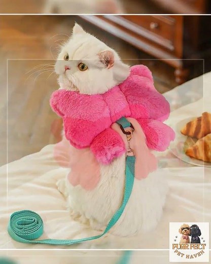 Bow Backpack Harness - Cute Pet Chest Strap Leash Set