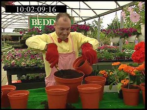 CITV ZZZap! Series 9 Episode 6 (2000)