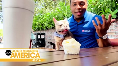 ABC Miami anchors share the best of South Florida