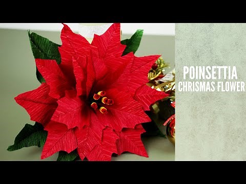 Poinsettia Christmas flower DIY