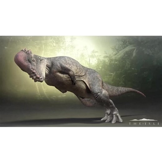 Exploring the World of the Omni Raptor