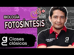 BIOLOGÍA - Fotosíntesis [ZOOM]
