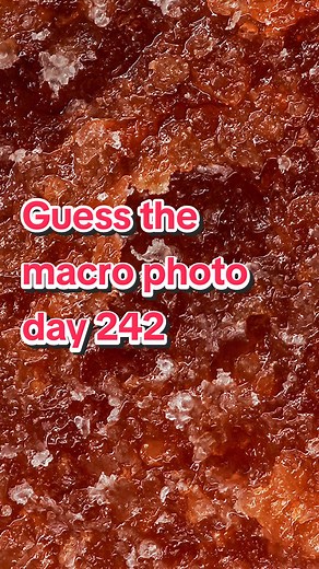 Jake's Macro Nature on TikTok