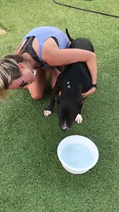 8.2K views · 218 reactions | 7/3: The Shelter is closed tomorrow yet...