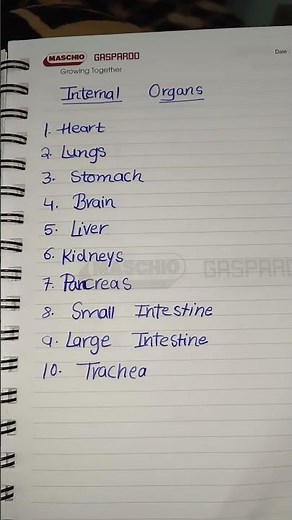 Internal organs/10 internal organs/Internal organs of the body/10 internal organs of the body