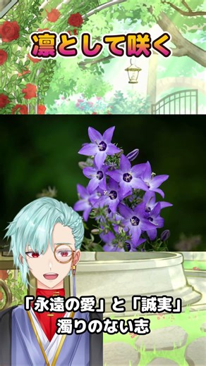 【誠実の青】桔梗。凛として咲く、揺るぎない「永遠の愛」の輪郭 #スパイス #vtuber