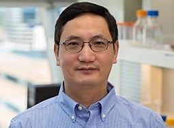 Cryo-EM reveals how ‘911’ molecule helps fix damaged DNA | Newswise