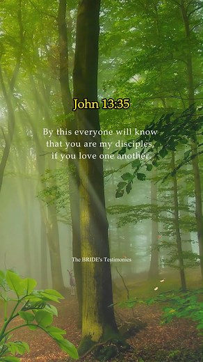 27K views · 2.1K reactions | Love one another 懶 #thebridestestimonies #christianreels #MakingJesusViral #God #WordOfGod #scripture #inspirational #journaling #Amen #ServingGod #LivingForChrist #encouragement #PraiseGod #dailyscripture #christianmotivation #bibleverses #fyp #bibleverseoftheday #Godslove #godsloveneverfails #loveoneanother | The BRIDE's Testimonies | Facebook