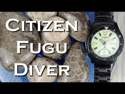 Citizen Promaster Dive Automatic NY0155-58X Full Lume Watch Video #fugu #fugudiver #citizen