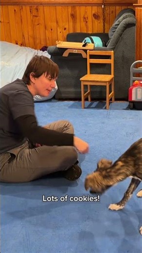 Shaping a Retrieve, Step 1! | Helo open mouth