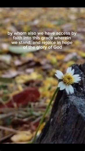 peace with God / Rom 5:1-8 KJV #Light #day #Jesus #truth #fblifestylechallenge #fbreels #sunriseandme #Christian #endtimes #faithwalk #shine #myLord #fyp | Sunrise and me