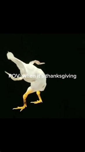 Pavo que se fue: Risas en Acción por Thanksgiving