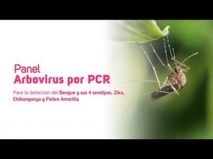 Panel Arbovirus por PCR