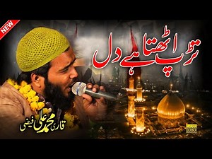 तड़प उठता है दिल लफ्ज़ों में दोहराई नहीं जाती | Qari Mohammad Ali Faizi New Naat 2021 | Ali Faizi
