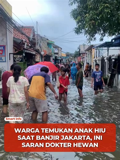 Sebuah video yang menarasikan penemuan anak ikan hiu di tengah banjir Jakarta viral di media sosial. Dosen Fakultas Kedokteran Hewan Universitas Gadjah Mada (UGM), Dr. drh. Slamet Raharjo, MP, menyatakan ikan dalam video itu bukan anak hiu. Berdasarkan pengamatan anatomi, bentuk tubuh ikan lebih menyerupai ikan remora. Selain itu, bagian ekor tidak terlihat jelas sehingga identifikasi sebagai hiu tidak dapat dipastikan. Meski demikian, masyarakat diimbau tetap berhati-hati jika menemukan ikan ya
