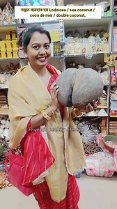 323K views · 6K reactions | তন্ত্ৰত ব্যৱহাৰ হয় Lodoicea sea coconut coco de mer double coconut #Tantra #spiritual #kamakhya #vlog | Priynka's healthy lifestyle | Facebook